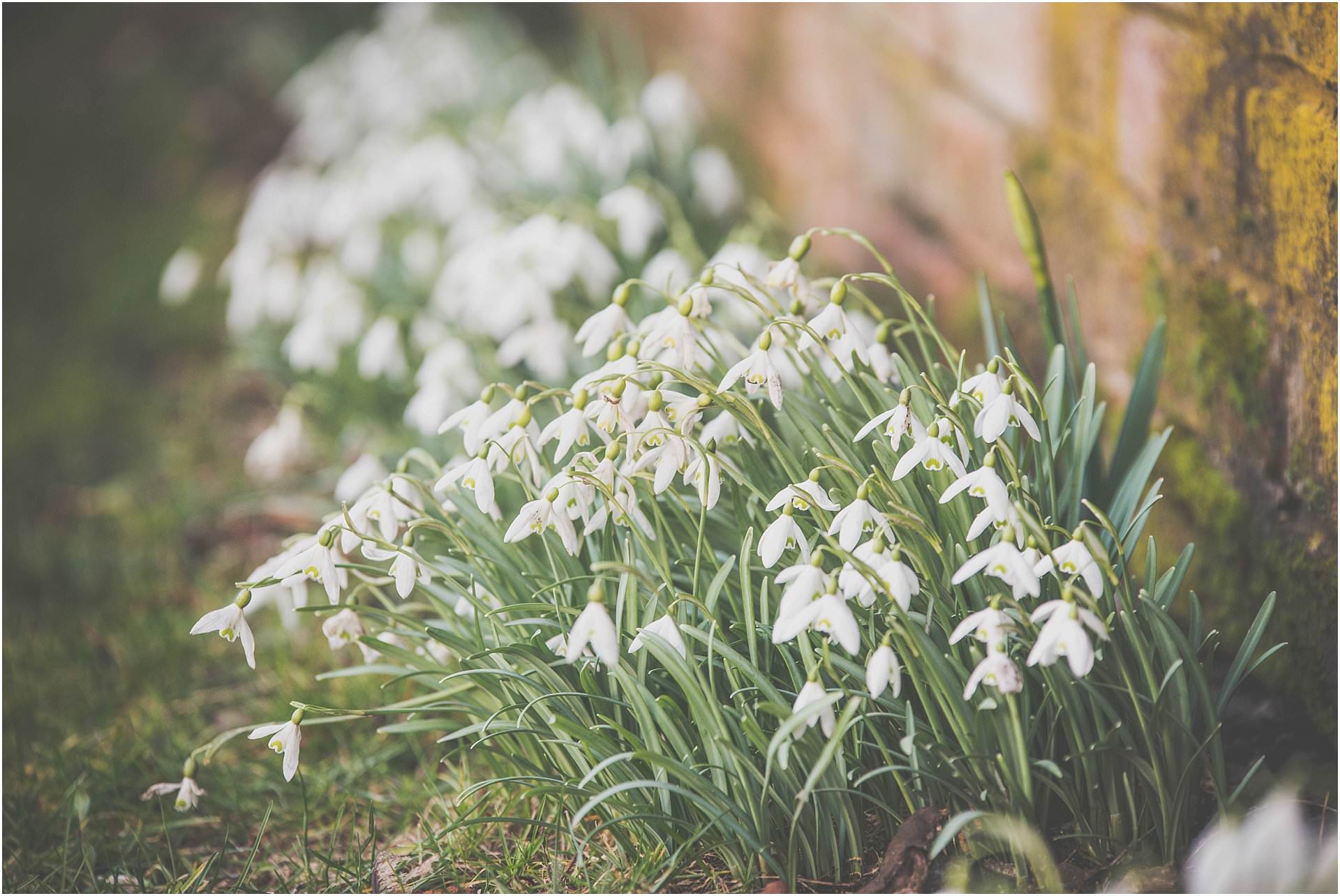 winter weddings