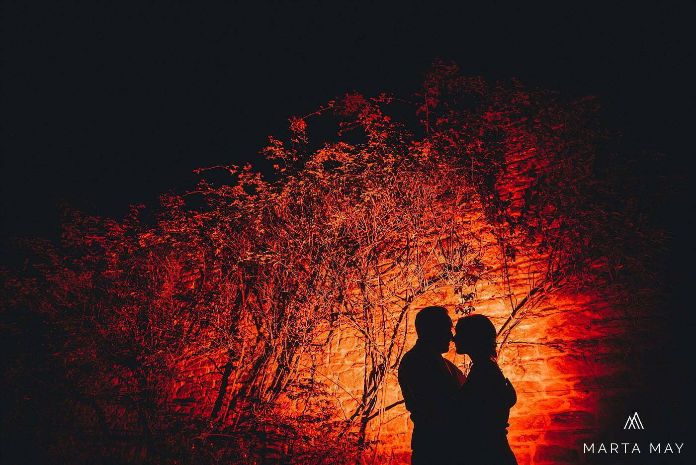 Night portraits at Lyde Arundel