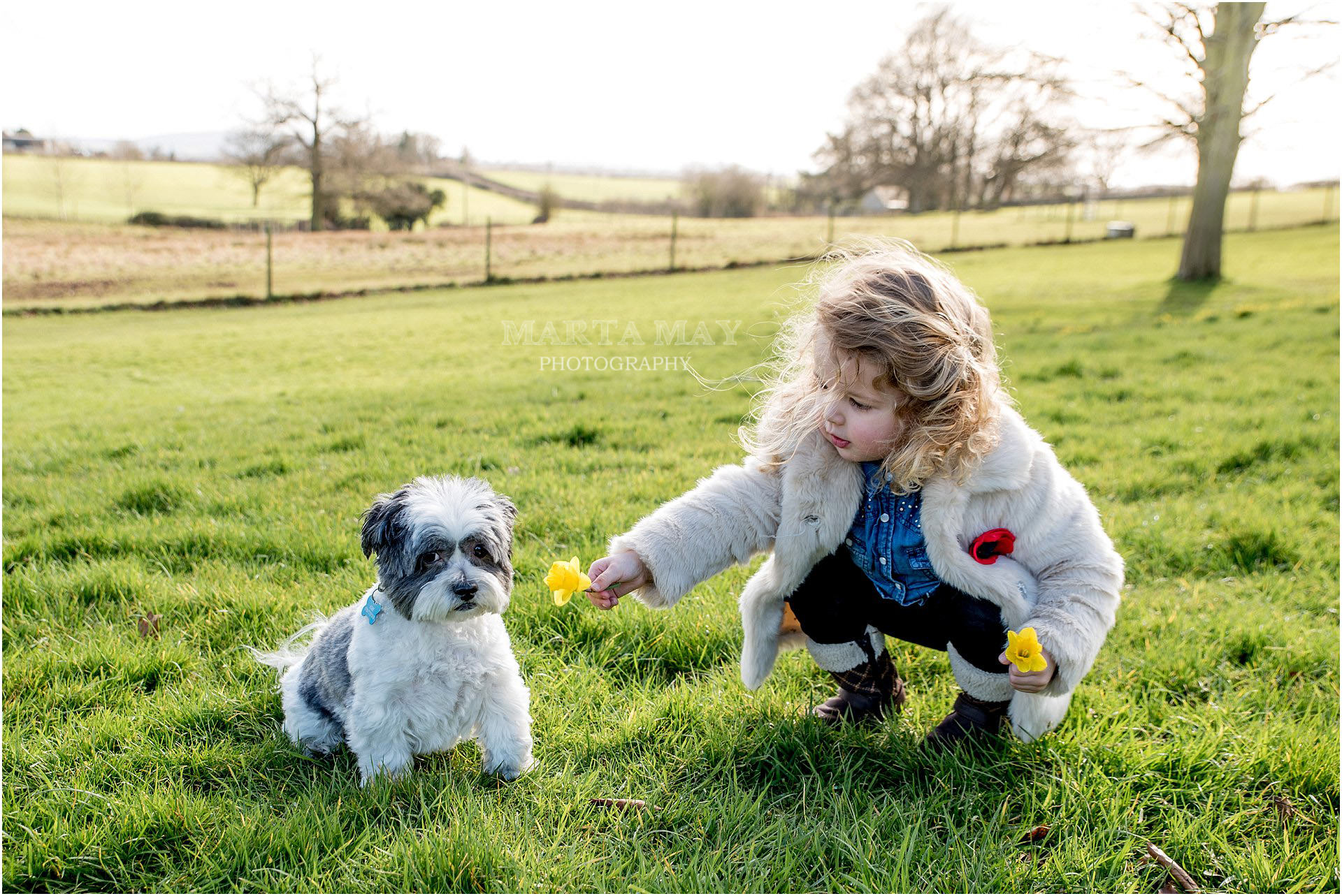 spring photo sessions