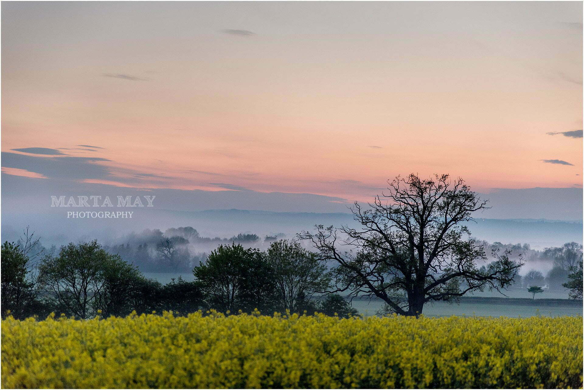 Lemore Manor weddings photographer