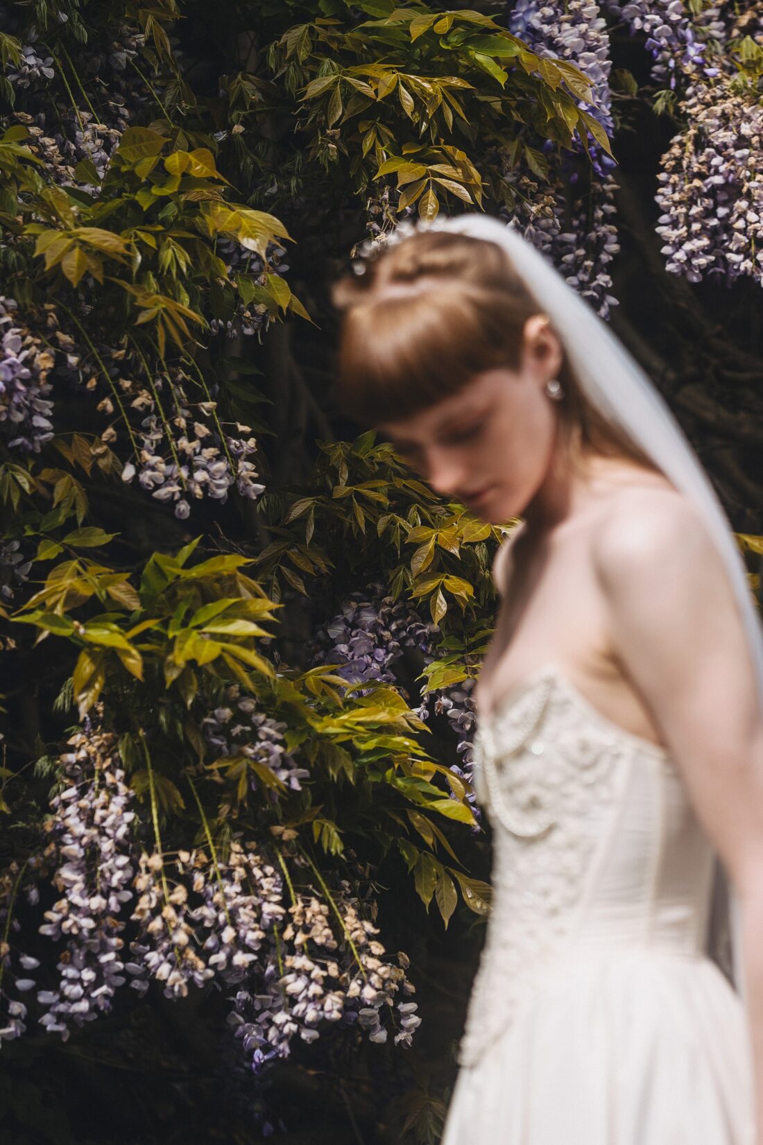 Bride near wisteria at Brobury House wedding photography