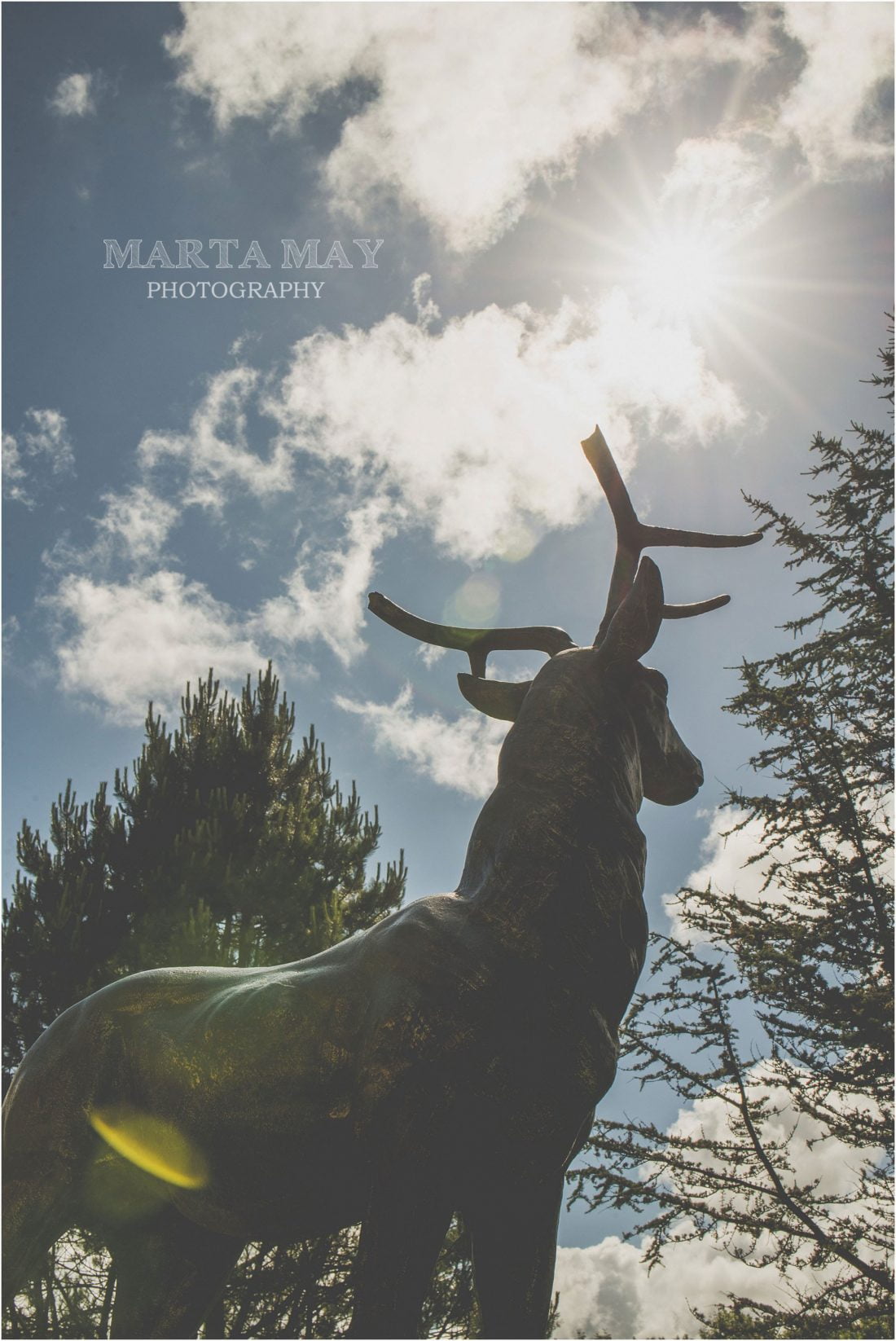 welsh weddings De Courceys Manor wedding photographer