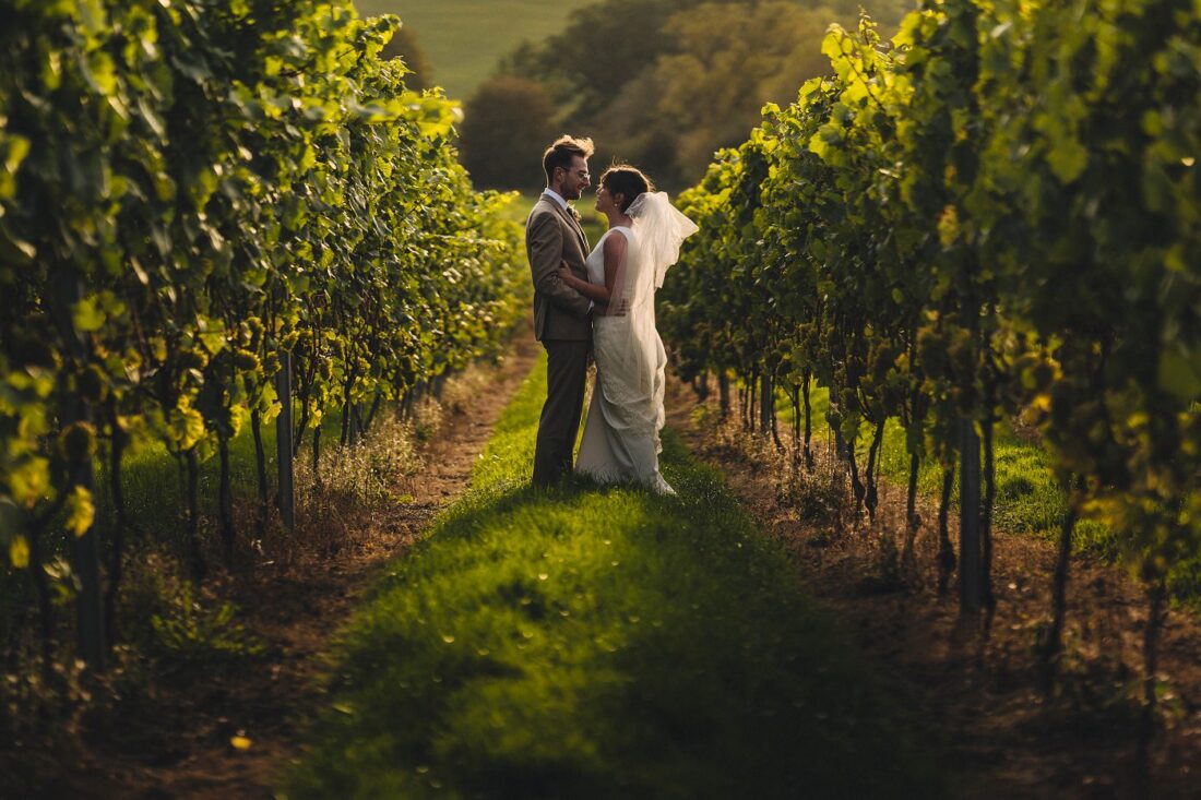 just married couple standing in the vineyard at Deer Park just before the sunset