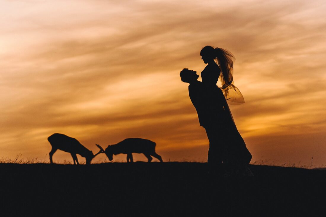 a silhouette of a groom holding bride and deer in the background during the golden hour sunset