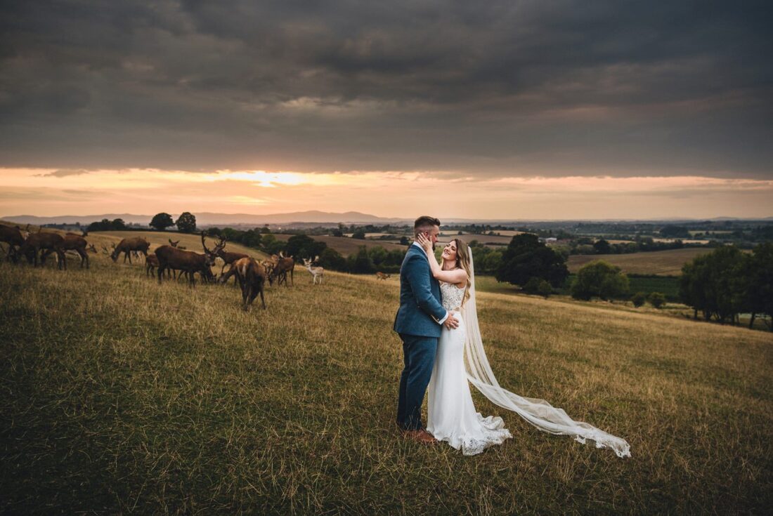 bride and groom during sunset standing in front of deers, Malvern Hills in the background