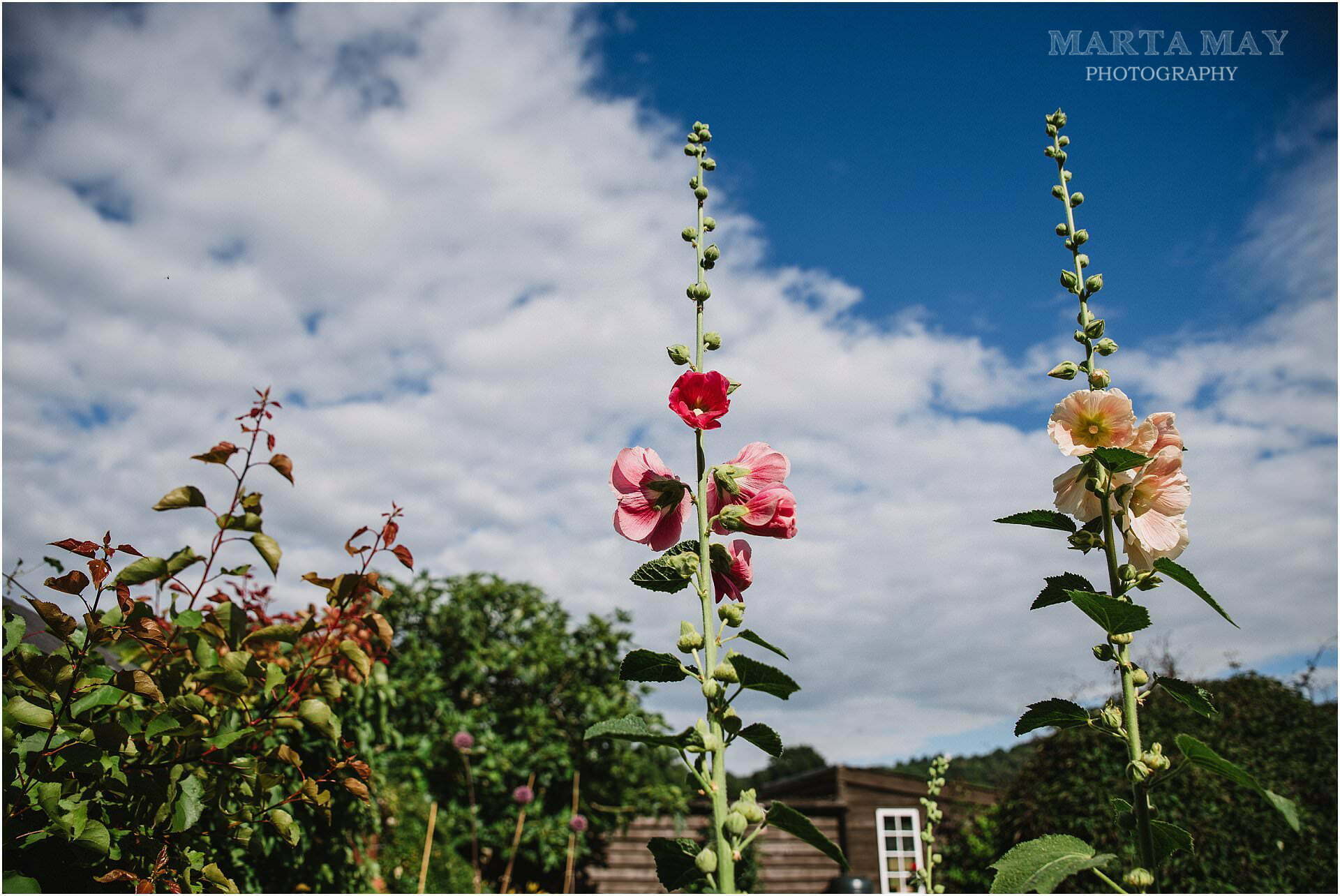 wedding garden