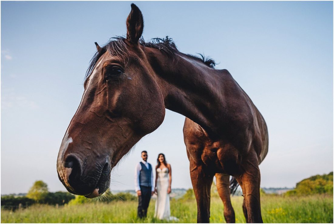 weddings and horses