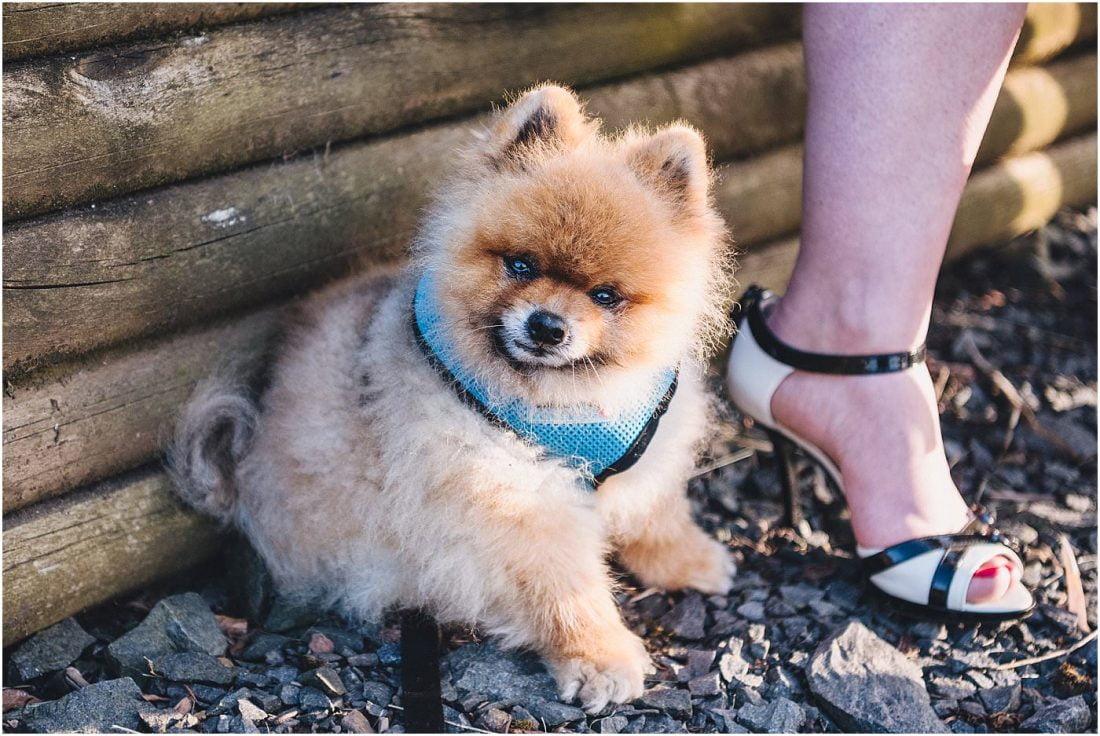 barn wedding Shropshire wedding photographer