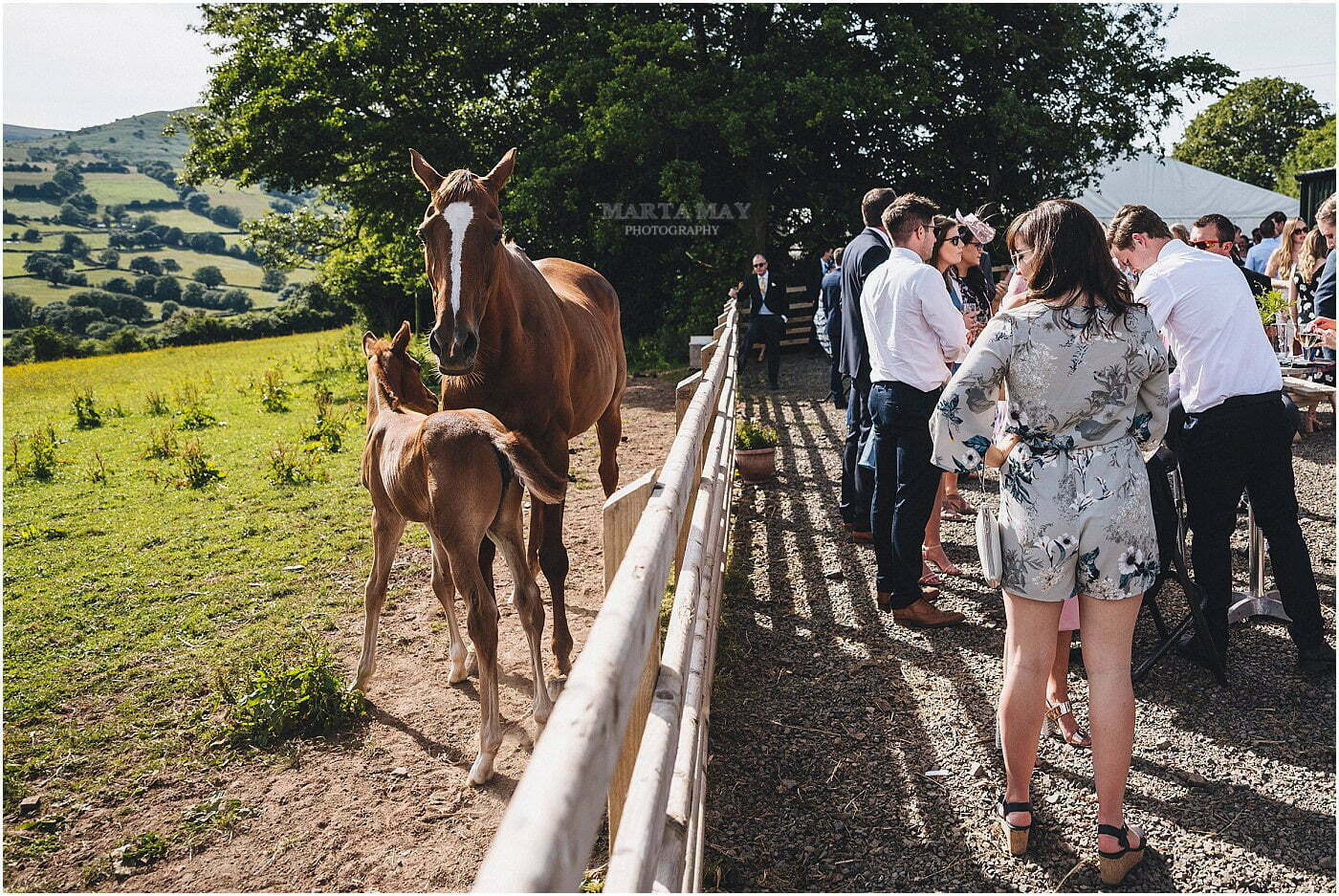 wedding photographer choice Marta May