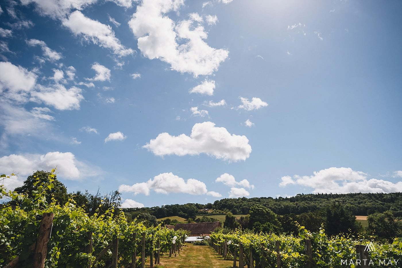 Coddington Vineyard Herefordshire