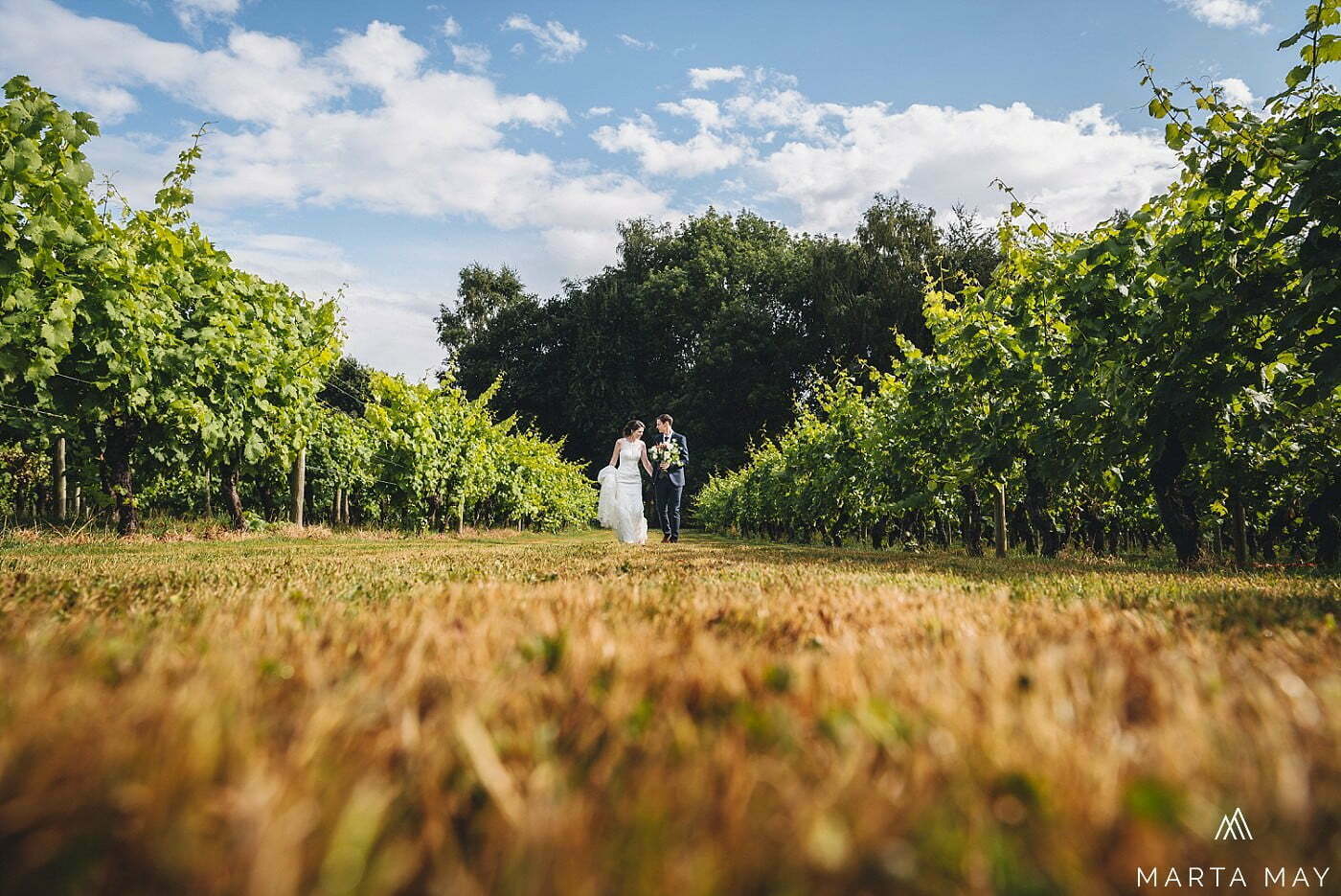 Coddington Vineyard wedding