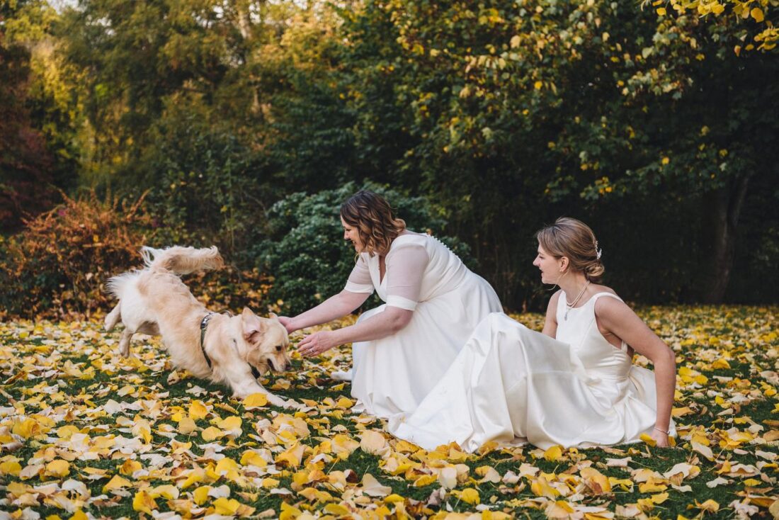 two brides playing with their dog on the lawn covered by autumn leaves at Dewsall Court