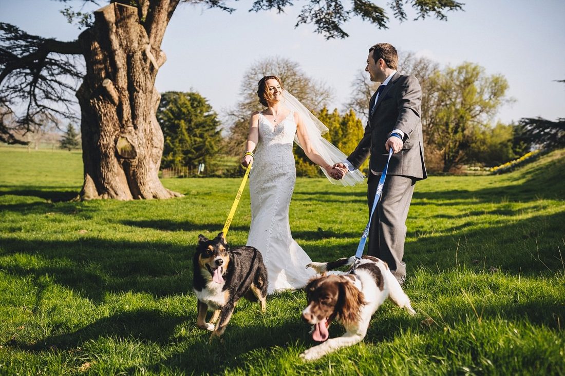 bride groom with dogs