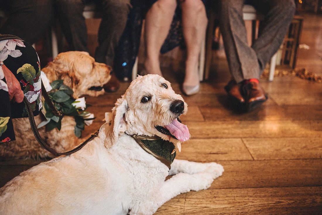 dogs at weddings