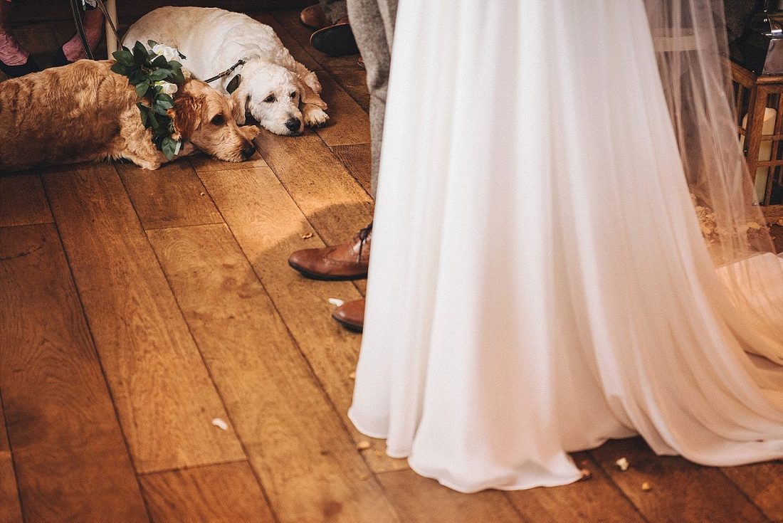 dogs at weddings