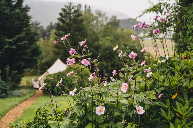 rainy morning at wilde lodge