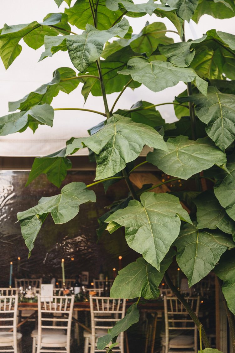 beautiful nature at Birtsmorton court