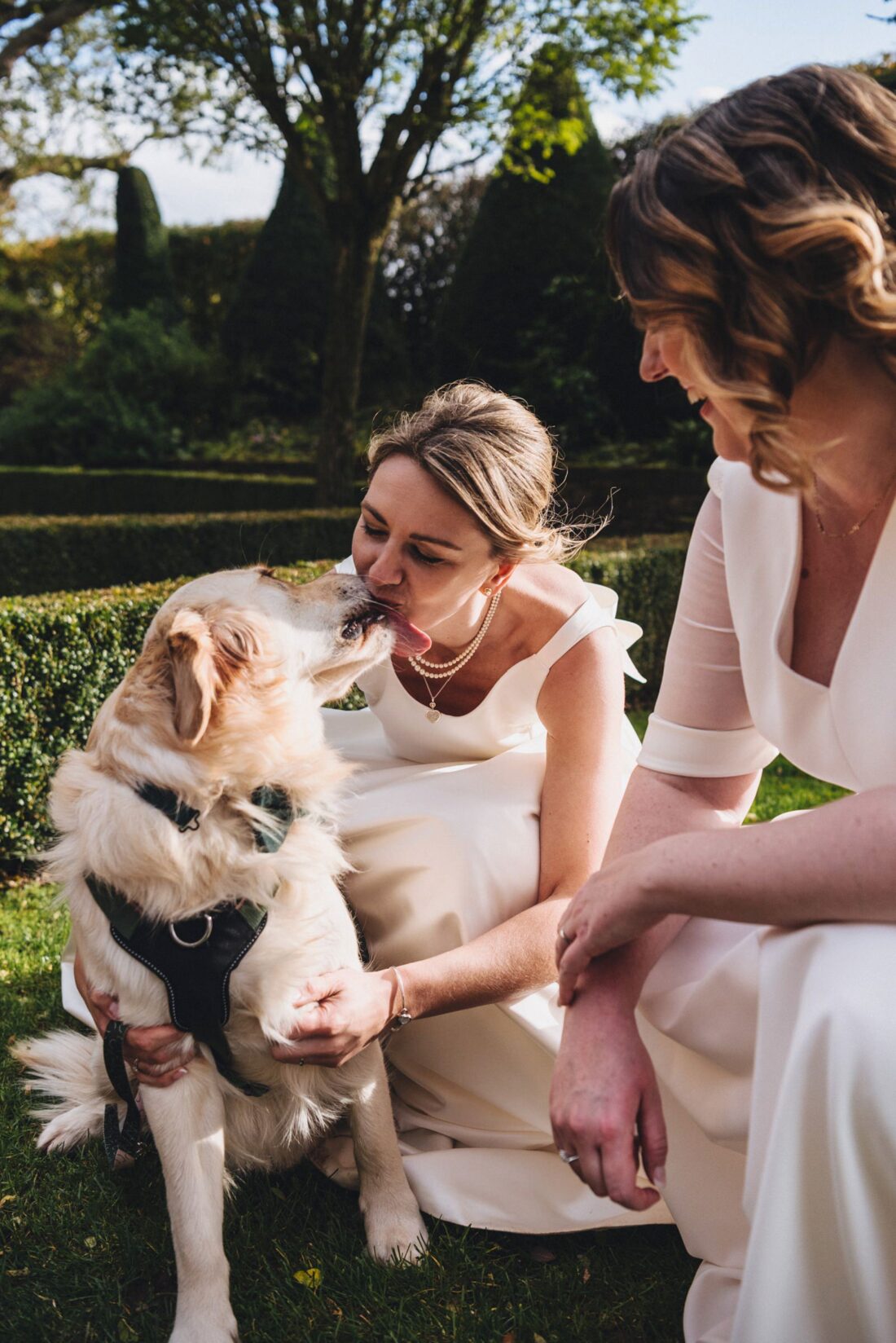 two brides playing with their dog at a wedding