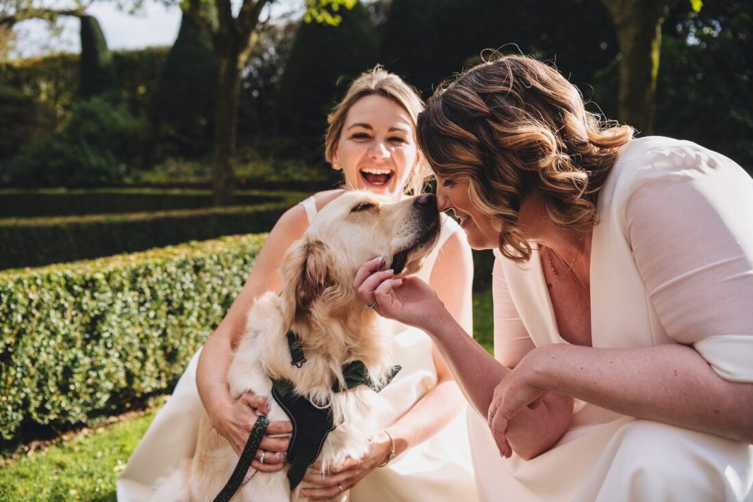 picture of a dog with just married couple