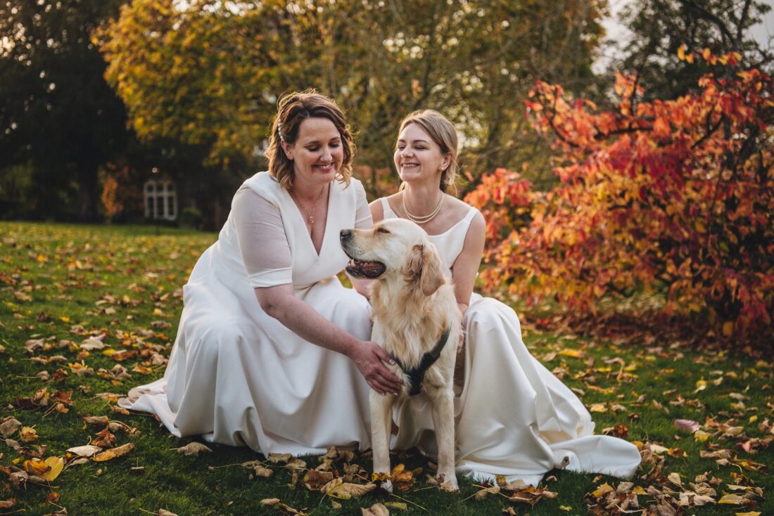 picture of a dog with just married couple