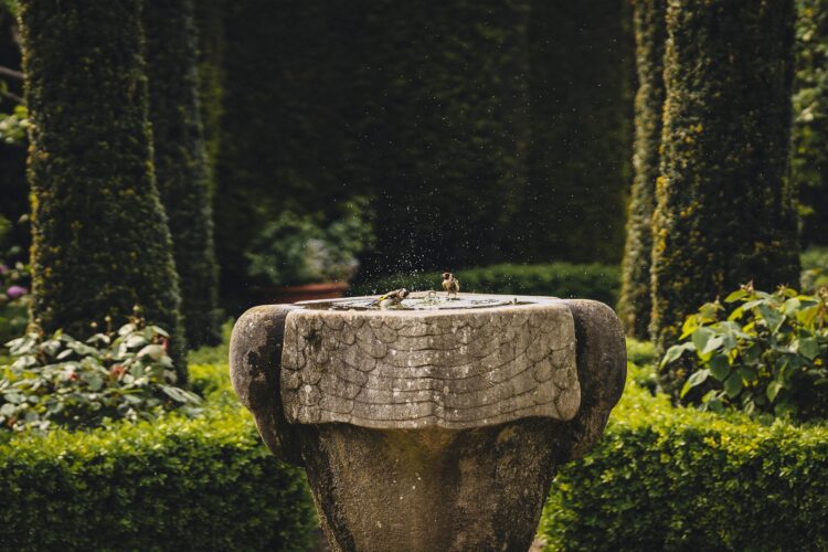 gardens at Hampton Court Castle