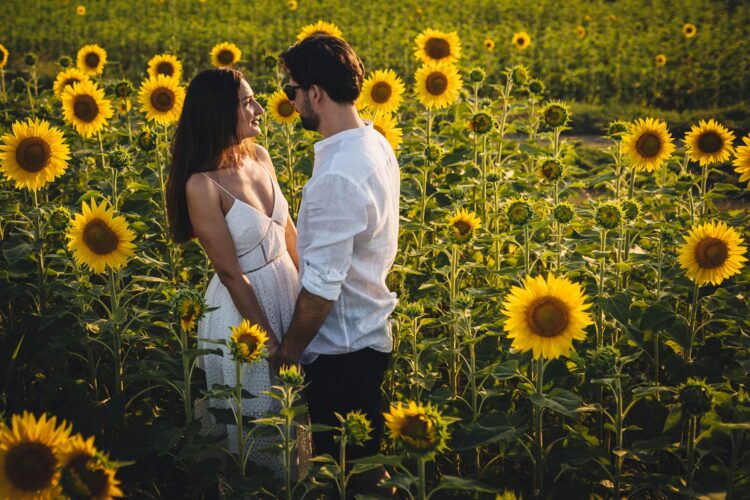 san galgano tuscany engagement shoot in sunflowers