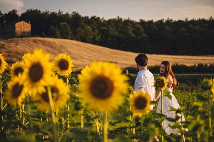 san galgano tuscany engagement shoot in sunflowers