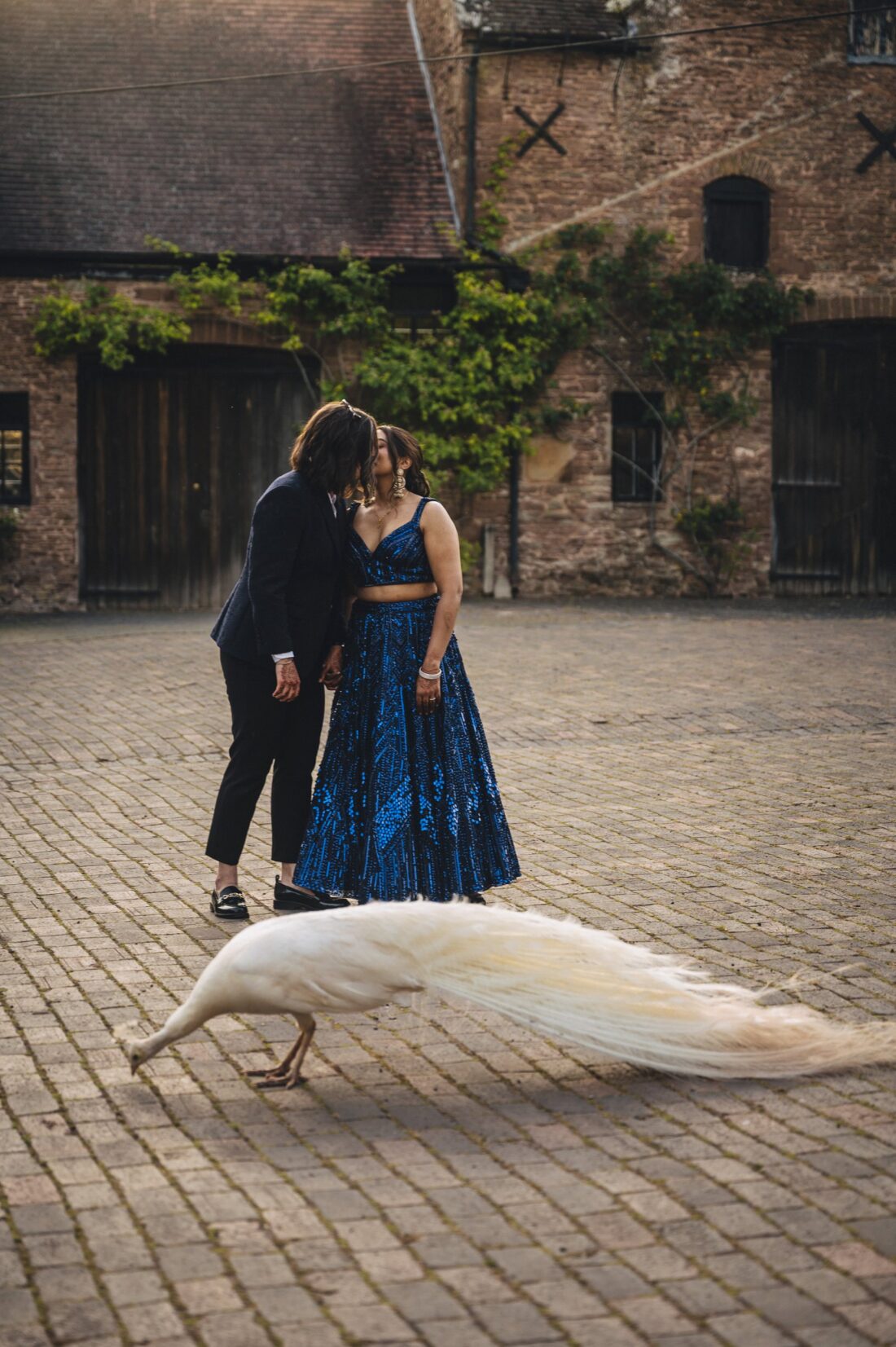 LGBTQ wedding photographer hindu brides and a peacock