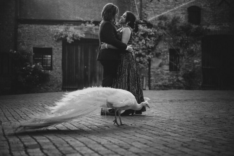 LGBTQ wedding photographer hindu brides and a peacock