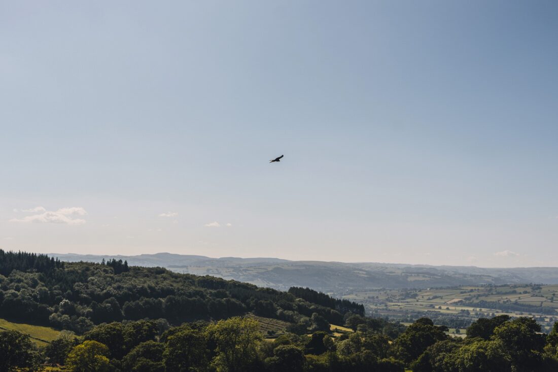 summer wedding vibes in the Black Mountains