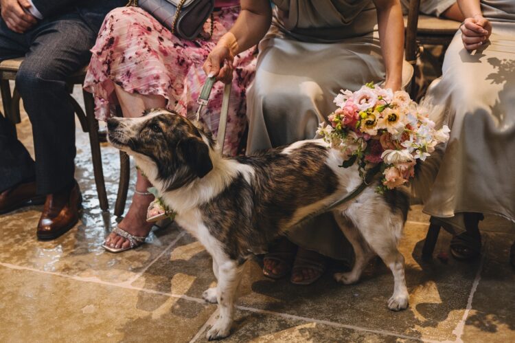 wedding ceremony at Shucknall Court dog friendly wedding venue hereford