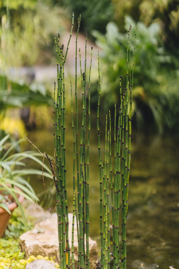 beautiful details and greenery at Matara Centre wedding venue